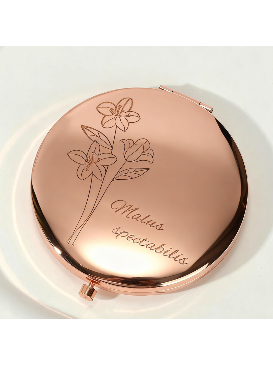 Mirroray - ABS Round Double Mirror Folding Mirror