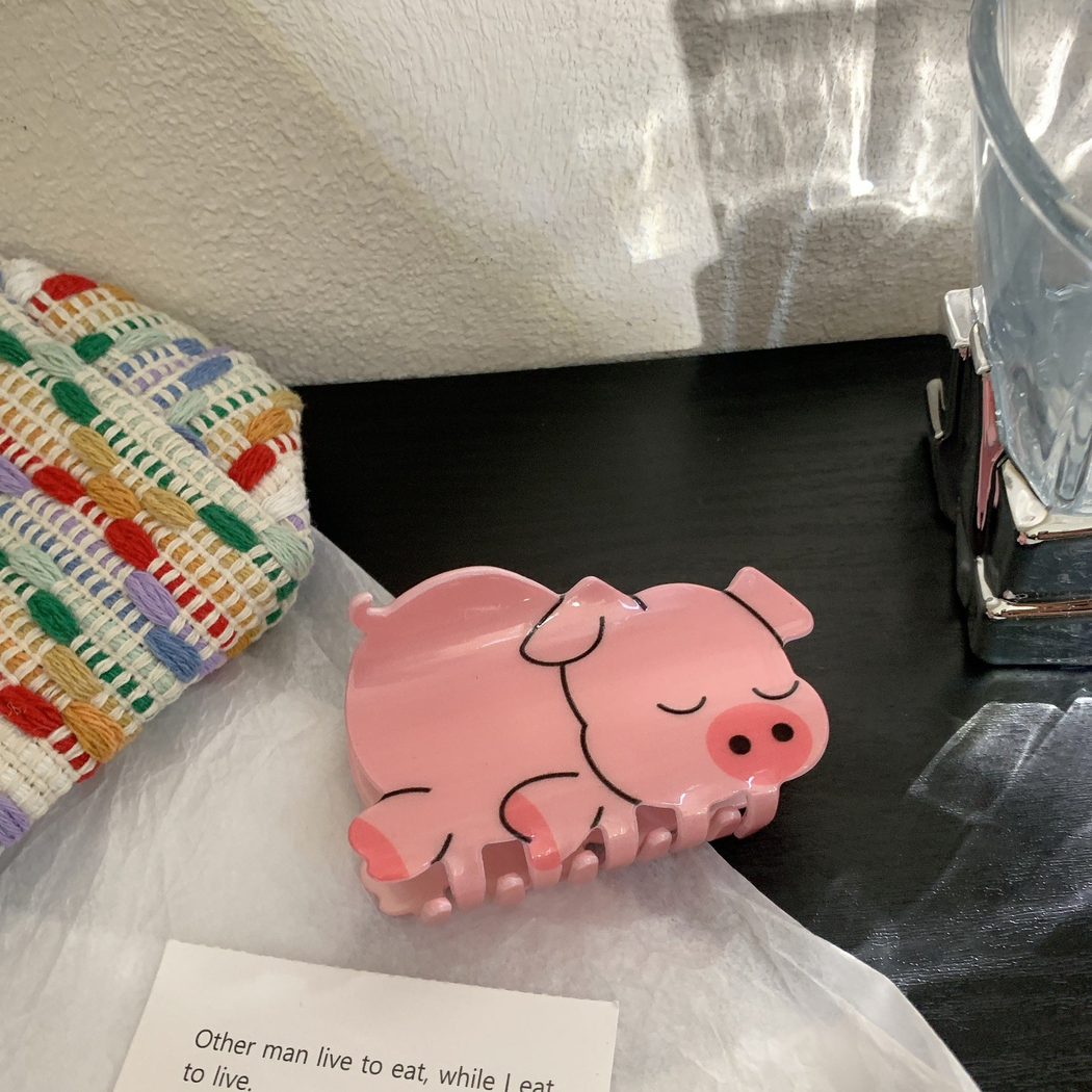 韩版网红卡通可爱小动物亚克力盘发卡子中号发夹质感发抓夹后脑勺