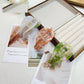 Product view of hair clip