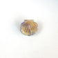 Single-variant view of hair clip