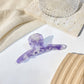 Single-variant view of hair clip