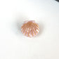 Single-variant view of hair clip