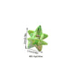 Beau - Glossy Star Shaped PS Decorative Claw Clip