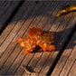 Beau - Simulated Maple Leaf Acetate Hair Claw Clip