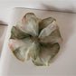 Gifty - Sheer Floral Mesh High Elastic Hair Tie Scrunchie