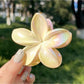 Beau - Ombre Floral Claw Clip