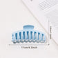 Beau - Pastel Large Hair Claw Clip
