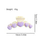 Beau - Sweet Fruit Design PS Hair Claw Clip