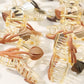 Beau - Crisscross Tulip Shaped Hair Claw Clip