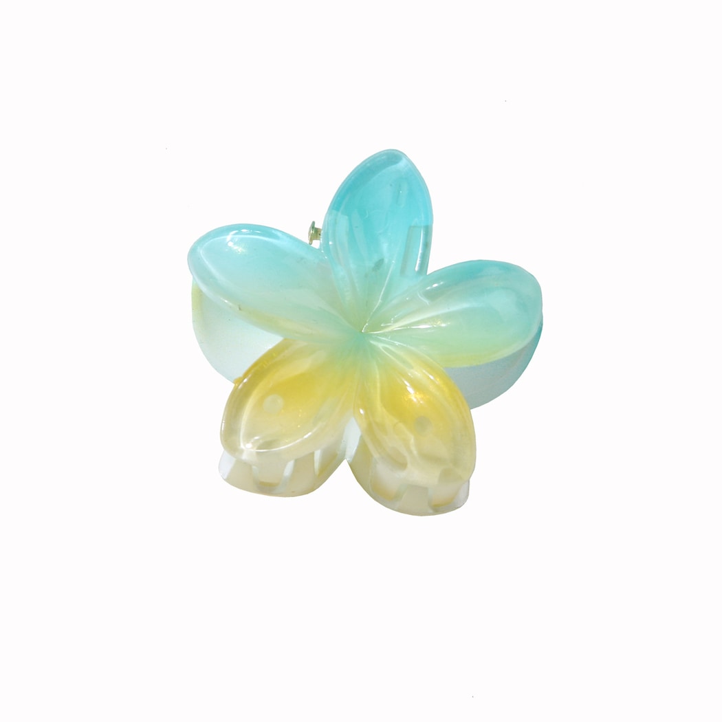 Beau - Gradient Petal Floral Plastic Claw Clip
