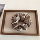Gifty - Vintage Floral Ruffle Hair Scrunchie