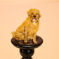 Beau - Cute Yellow Dog Hair Clip