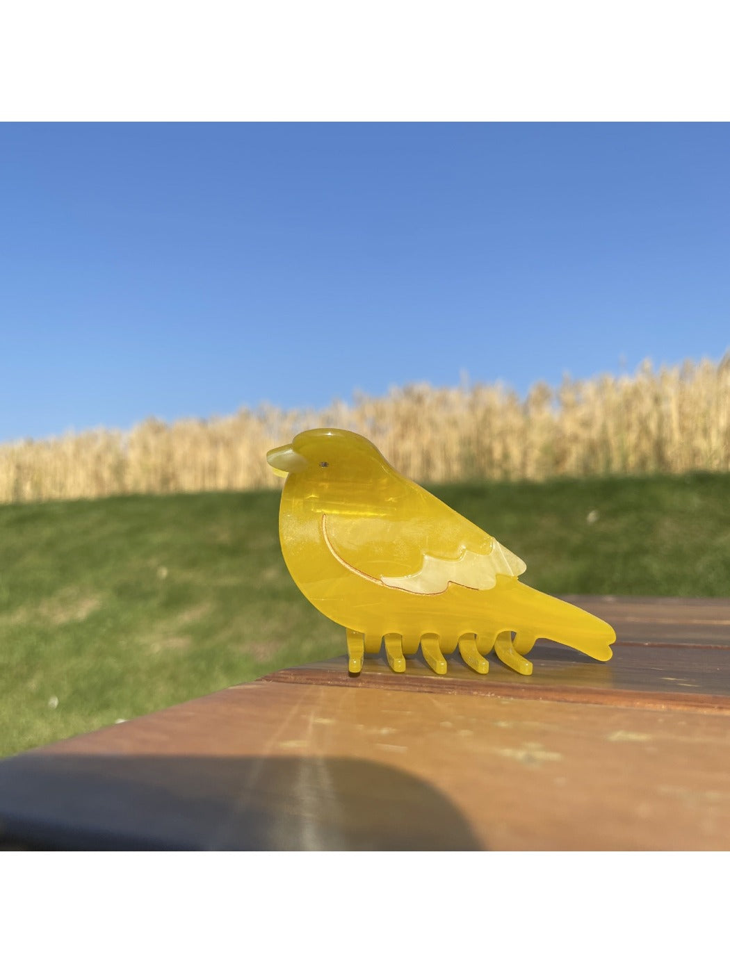 Beau - Bird Acetate Claw Clip