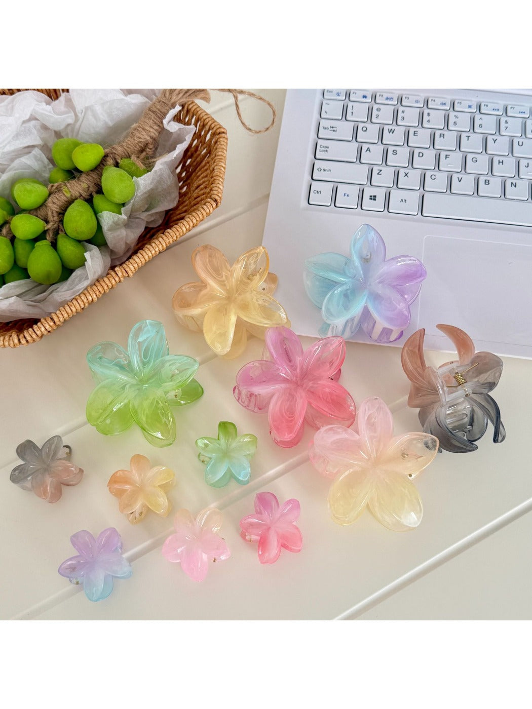 Beau - Gradient Plumeria Style Claw Hair Clip