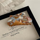 Beau - Alloy Detail Butterfly Shape Acetate Claw Clip