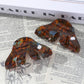 Beau - Medium Vintage Ombré Triangular Claw Clip