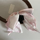 Beau bow ribbon streamer claw clip displayed on a white background showing full design