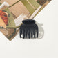 Beau - Matte or Glossy Leopard Print Claw Clip