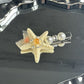 Beau - Ocean Style Starfish Duckbill Hair Clip