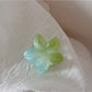 Beau - Glossy Jelly Finish Flower Star Claw Clip