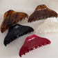 Beau - Irregular Acetate Fiber Glossy Finish Claw Clip