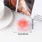 Beau - Elegant Floral Shaped Hair Claw Clip