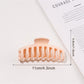Beau - Pastel Large Hair Claw Clip