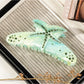 Beau - Acetate Starfish Hair Clip