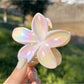 Beau - Ombre Floral Claw Clip