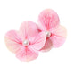 Beau - Sweet Double Flower Hair Clip