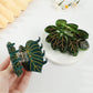Beau - Monstera Leaf Acetate Hair Claw Clip