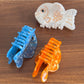 Beau - Cartoon Carp Design Acetate Hair Claw