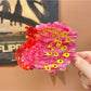 Beau - Peacock Acetate Hair Clip