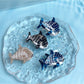 Beau - Glossy Whale Motif Acetate Claw Clip