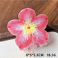 Beau floral claw clip styled in hair demonstrating size and secure hold