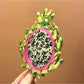 Beau - Fruit Shaped Acetate Hair Clip