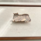 Beau - Lounging Leopard Hair Clip