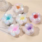 Beau - Gradient Floral Plastic Hair Claw Clip