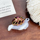 Beau - Cute Cartoon Turtle Hair Clip