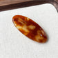 Beau Sweet Oval Acetate Hair Clip with light reflecting off its smooth surface
