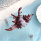 Beau - Colorful Conch Shape Hair Clip