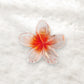 Beau - Vogue Sweet Style Transparent Flower Hair Claw Clip