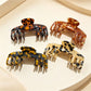 Beau chic soft acetate claw clip in tortoiseshell pattern on white background