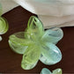 Beau - Glossy Jelly Finish Flower Star Claw Clip