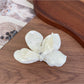 Beau acetate moth orchid claw clip resting on a wooden surface