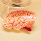 Beau - Brain Print Hair Claw Clip
