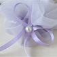 Gifty - Sheer Bow Ribbon Hair Scrunchie