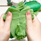 Papo - Green Frog Bath Puff