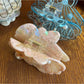 Beau - Acetate Starfish Glossy Claw Clip