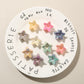Beau - Sweet Style Star Bangs and Side Hair Claw Clip